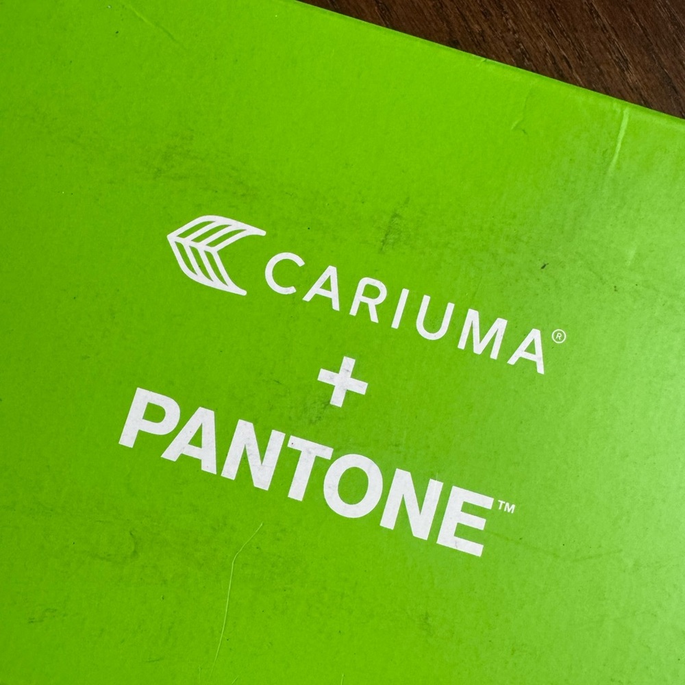 Cariuma + Pantone OCA Low Withered Rose Canvas Contrast Thread Sneaker - Picture 12 of 13